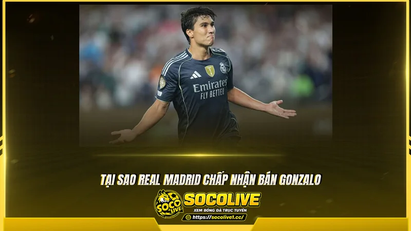 Tại sao Real Madrid chấp nhận bán Gonzalo