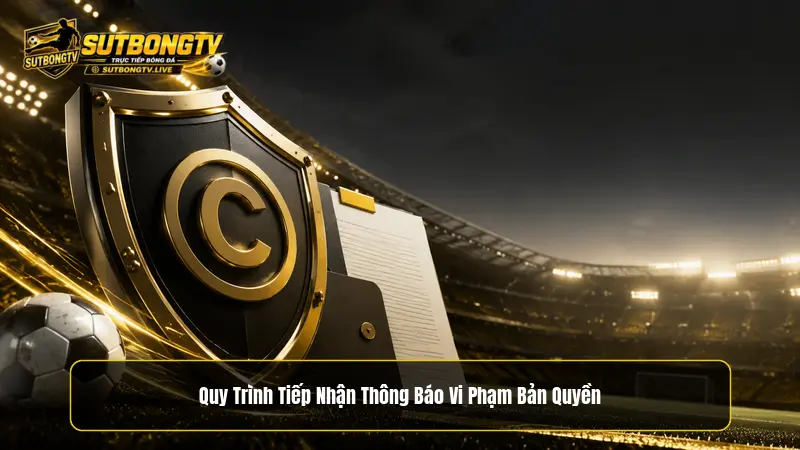 Quy trình tiếp nhận và xử lý theo chính sách DMCA
