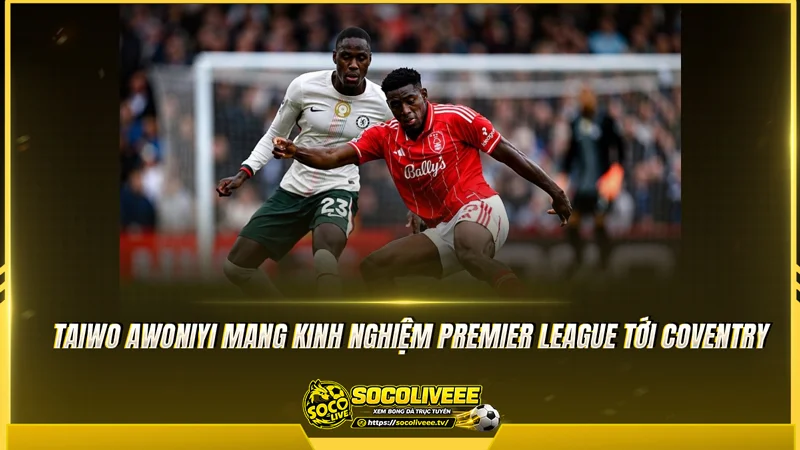 Taiwo Awoniyi mang kinh nghiệm Premier League tới Coventry